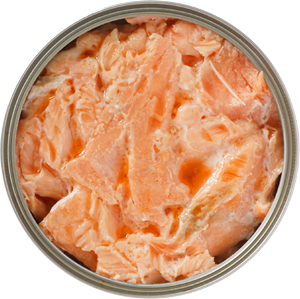 canned salmon
